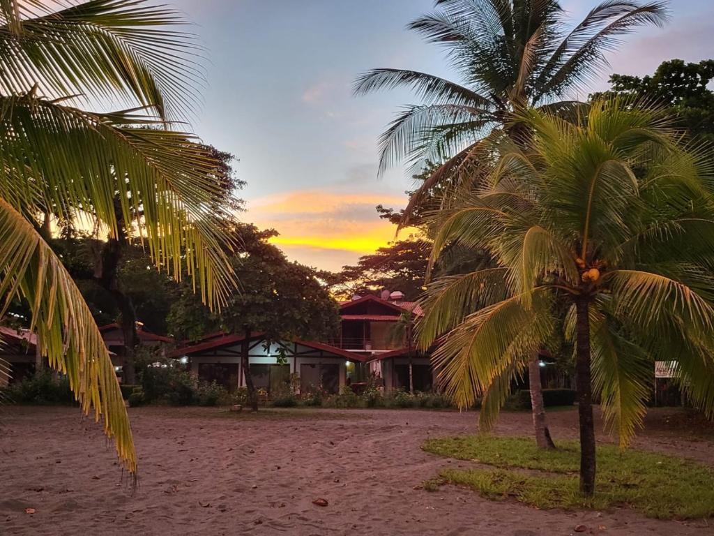 希门尼斯港阿瓜杜尔塞海滩度假村的两棵棕榈树在海滩上,背着日落