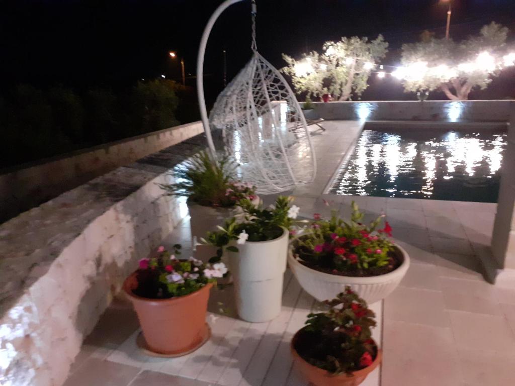 洛科罗通多Holiday Home Cosimo的一群在泳池旁的盆栽植物