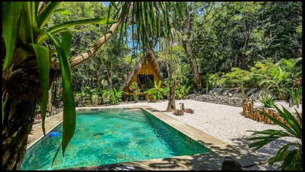 Santa RosaCabinas de Lou Eco Lodge TAMARINDO的度假村中央的游泳池