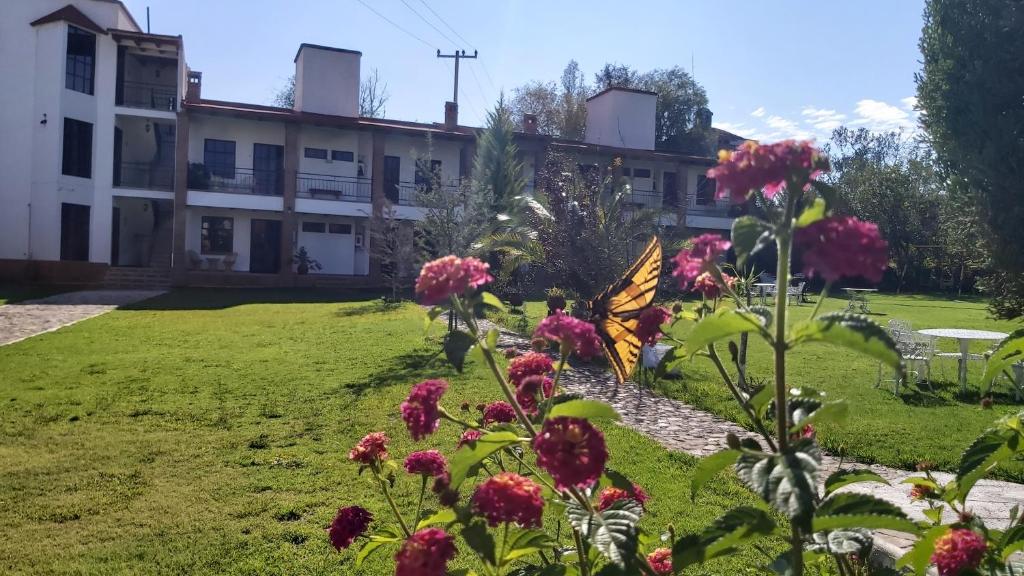 圣米格尔雷格拉Hotel Finca Las Bovedas的一座花园,在一座建筑前有鲜花和蝴蝶
