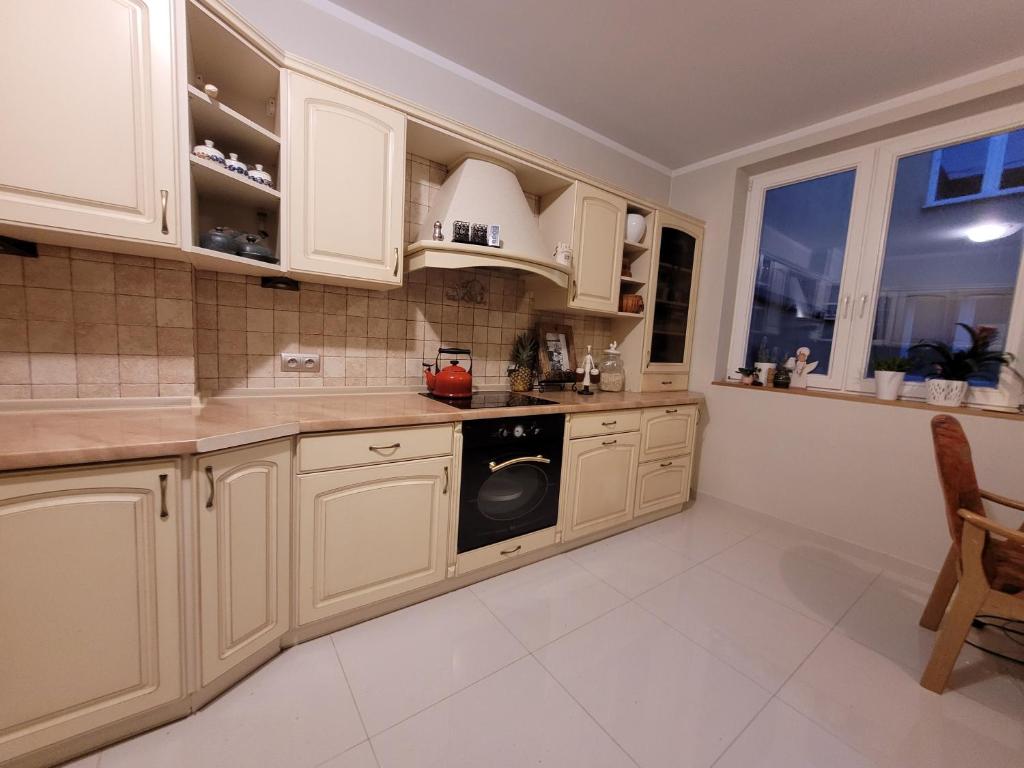 拉德库夫Apartament u podnóża Gór Stołowych的厨房配有白色橱柜和洗碗机。