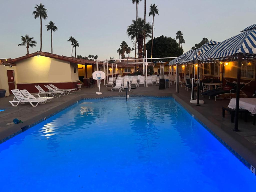 棕榈泉EDR Hotel - Adults Only & Clothing Optional的一个带椅子和棕榈树的大型蓝色游泳池