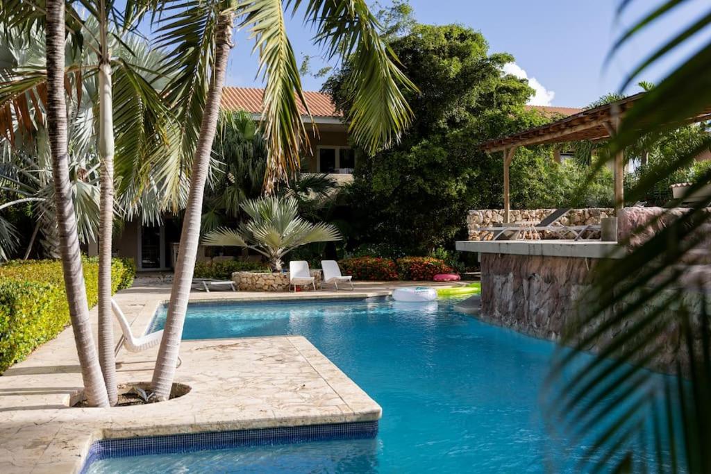 威廉斯塔德Cocobana Resort two-bedroom apartment ground floor的一座棕榈树环绕的游泳池