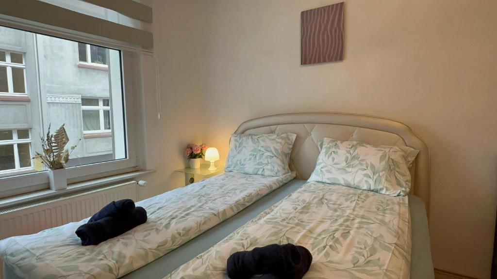 多特蒙德Geräumige Wohnung Dortmund City的一间卧室设有一张床和一个窗口