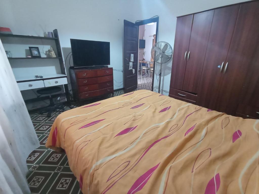 科斯金Alojamientos Cosquín的一间卧室配有一张床、一个梳妆台和电视。