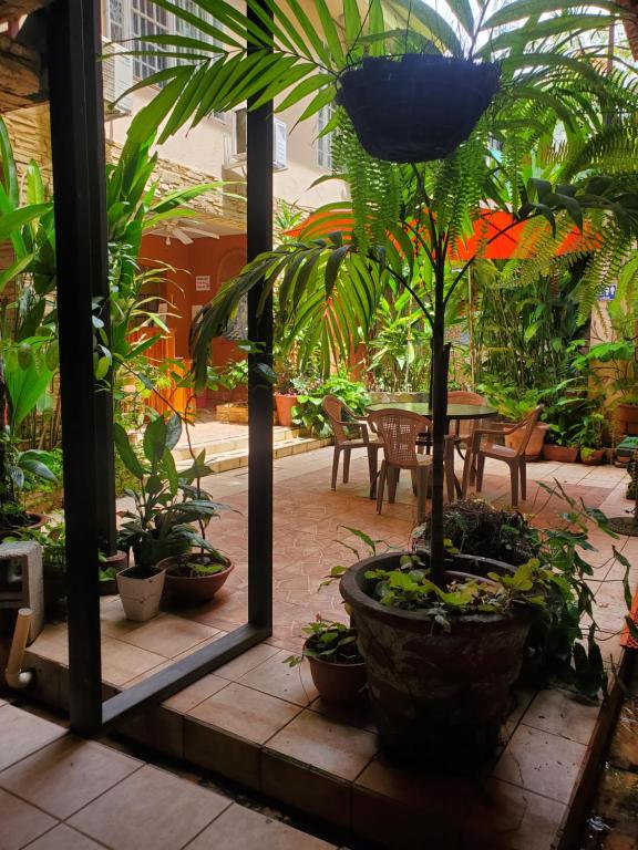 曼努埃尔安东尼奥Hotel Villa Prats的种有植物和桌子的庭院