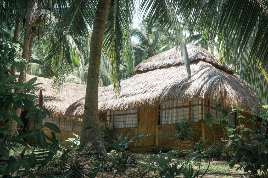 Cayo Coco - Island Glamping的丛林中茅草屋顶的房子