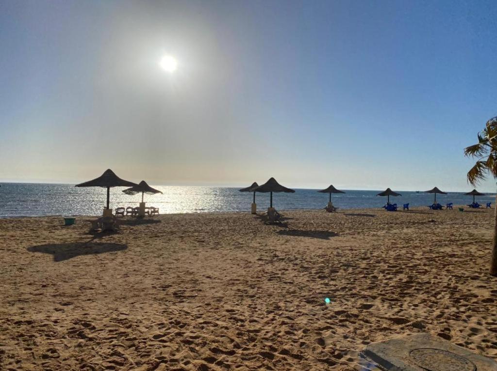艾因苏赫纳Cozy Villa Venice Ain Sokhna的海滩上设有遮阳伞和椅子,还有大海