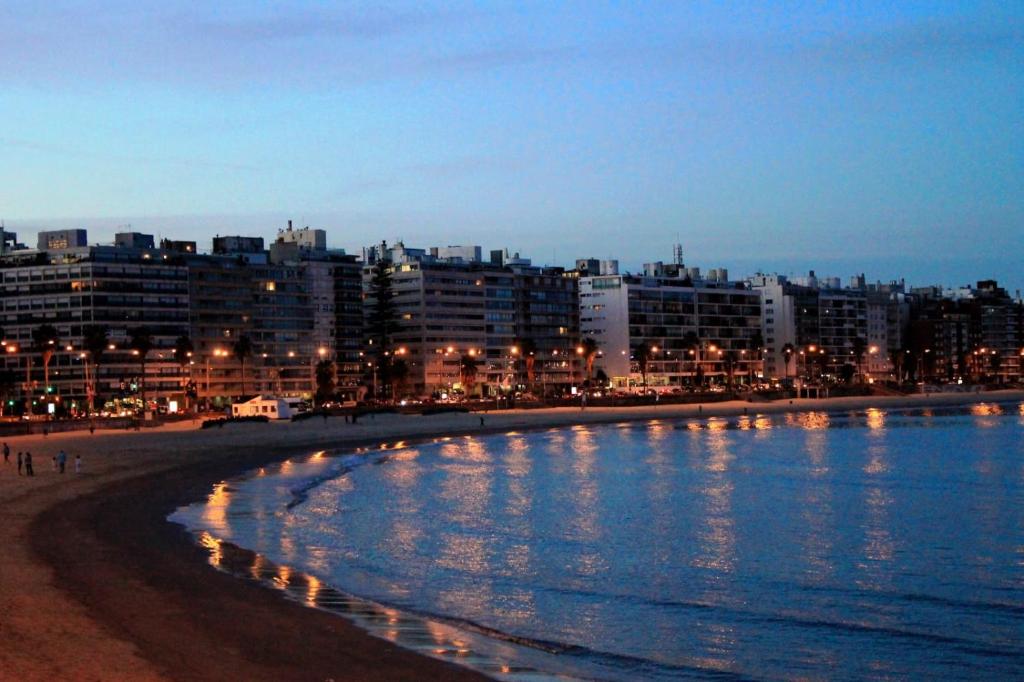 蒙得维的亚ALCA Apartamento exclusivo a 80 mts de Playa Pocitos的享有海滩的夜间美景,设有建筑