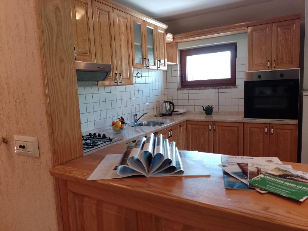 弗济内Apartman Centar Fužine的厨房配有木制橱柜和台面