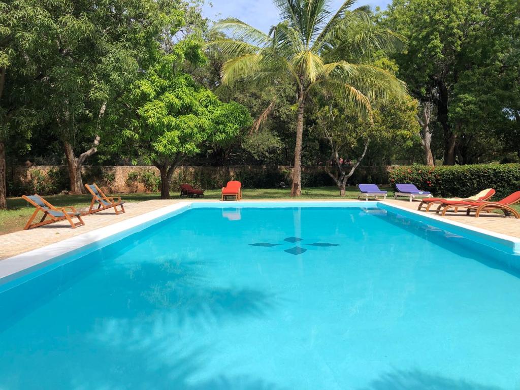 马林迪Petwac Oasis的一个带椅子和树木的大型蓝色游泳池