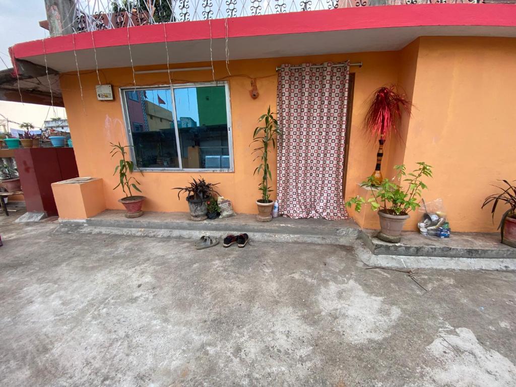 JagdalpurMorla’s villa的一只狗躺在植物丛生的房子前