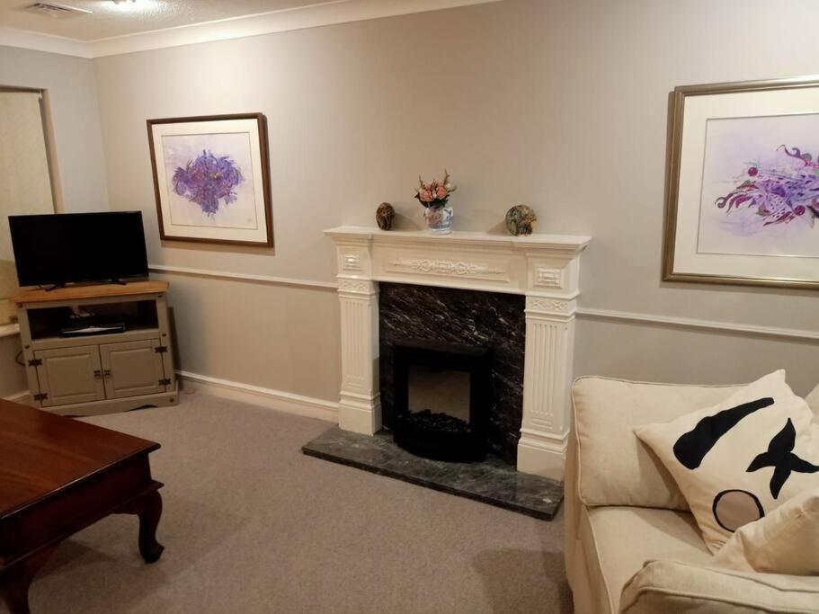 NeedingworthLotus House的客厅设有壁炉和电视。