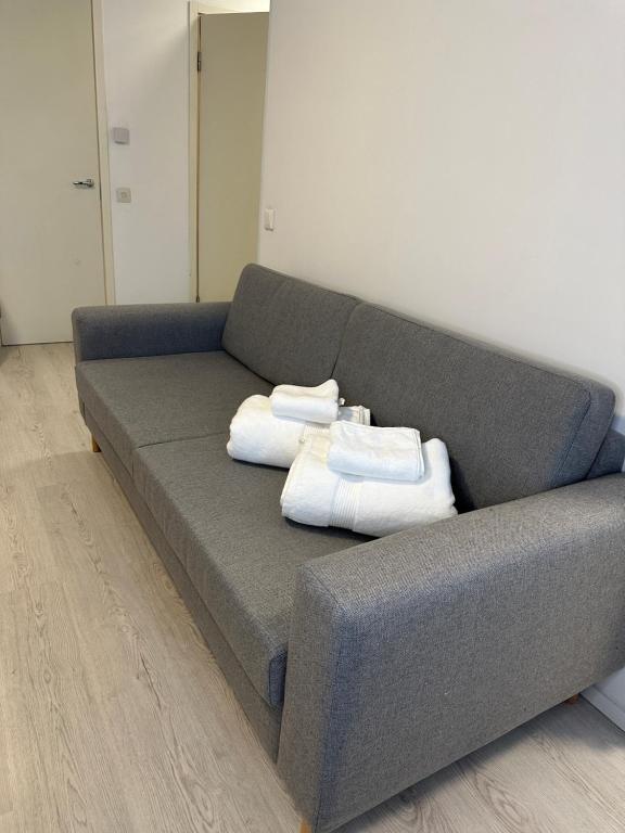 许温凯Chic and Relaxing Studio的一张灰色的沙发,上面有两个枕头