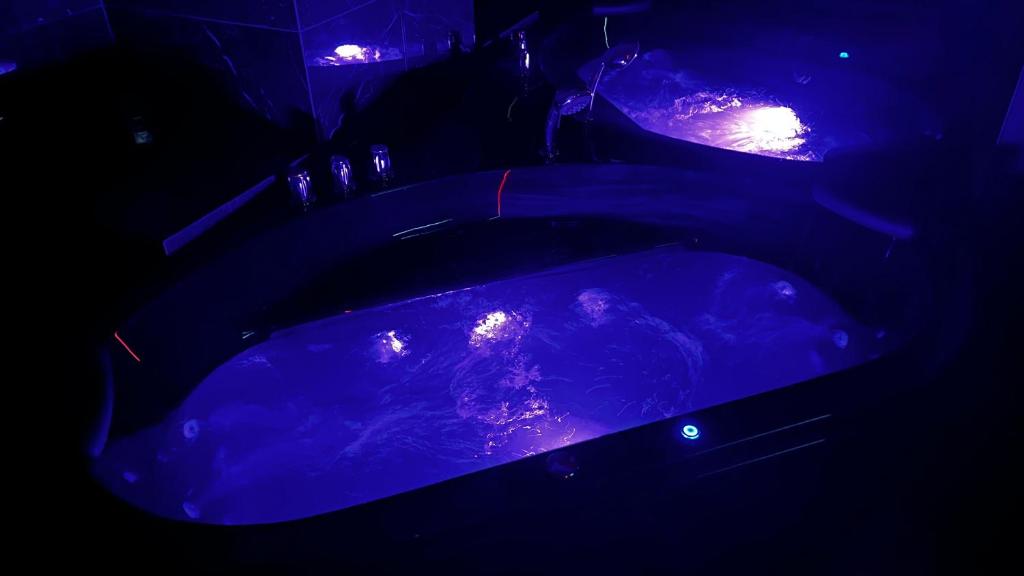 罗兹BDSM Red Room Apartment的暗室配有紫色灯浴缸