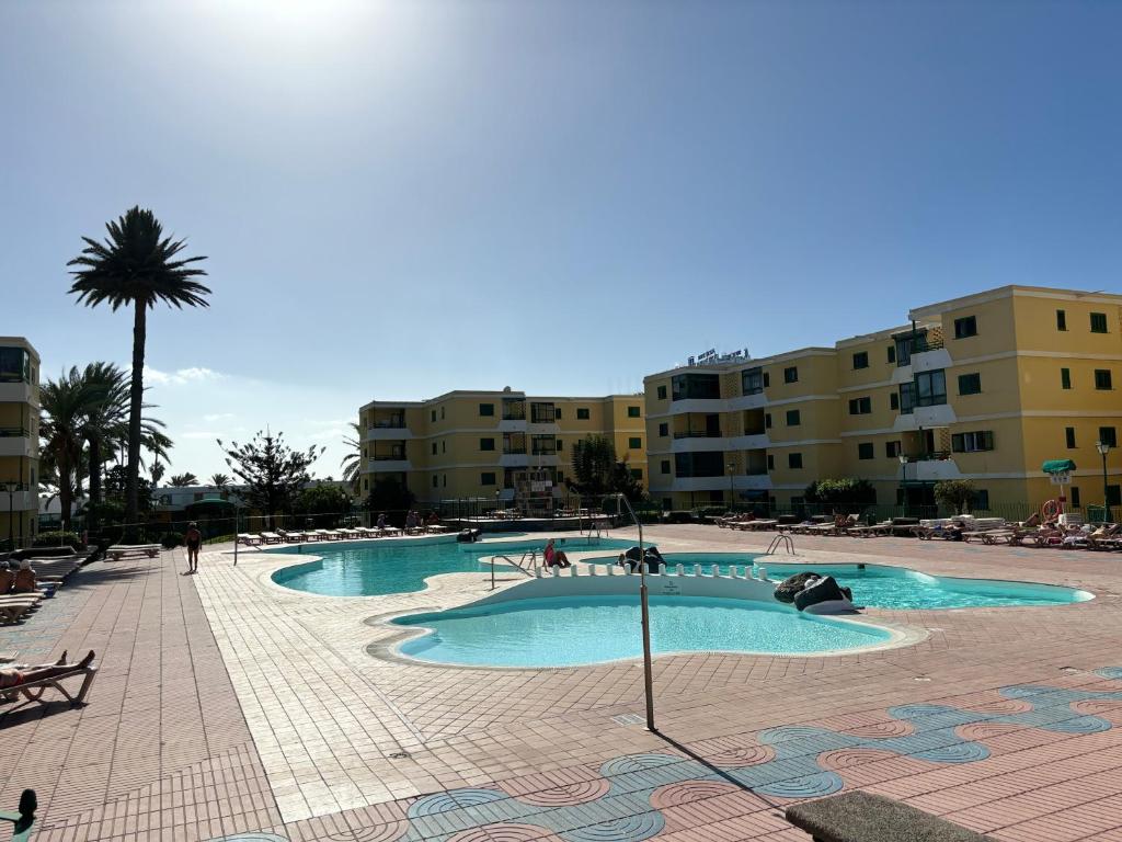 马斯帕洛马斯Las olas 214的一座位于酒店大楼内的游泳池