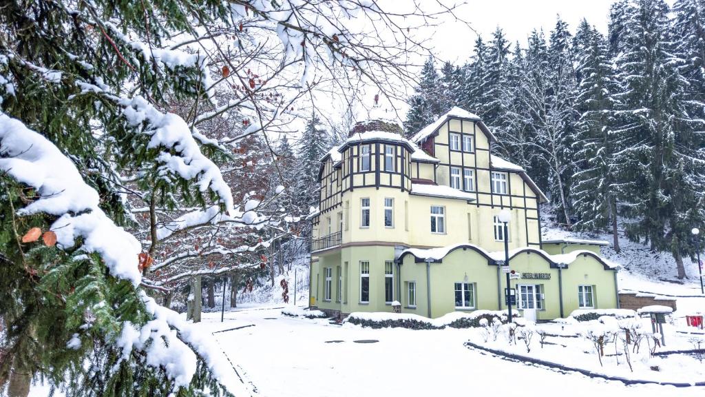 卡罗维发利Hotel Hubertus的雪中大黄房子,有树
