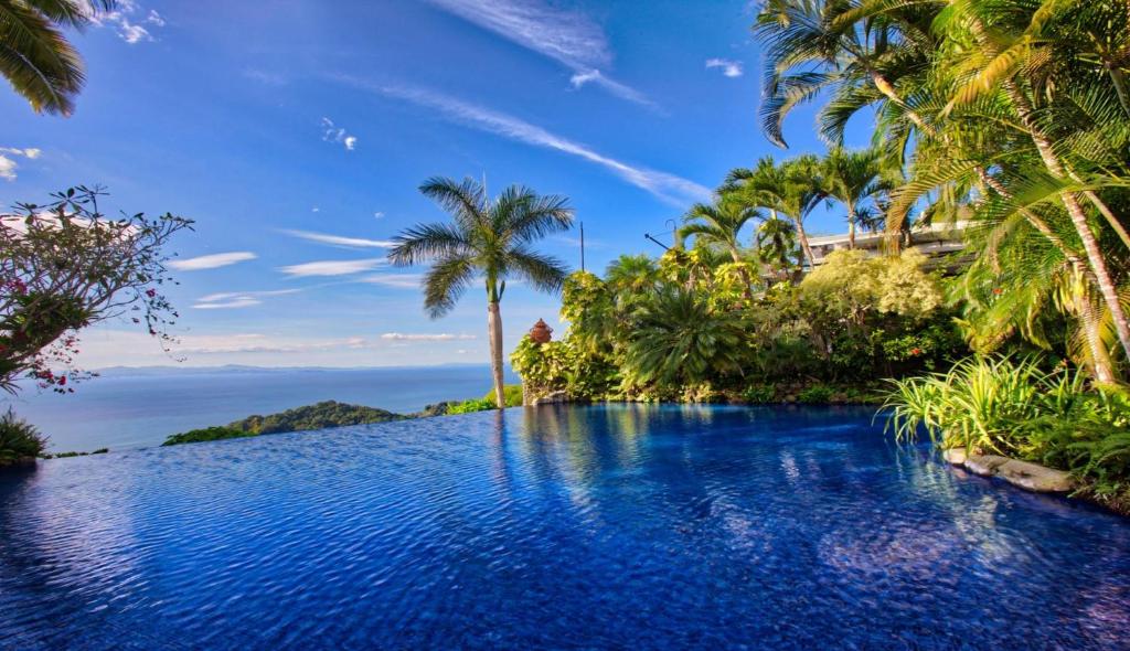 雅科卡利塔斯别墅酒店的一座棕榈树和海洋游泳池