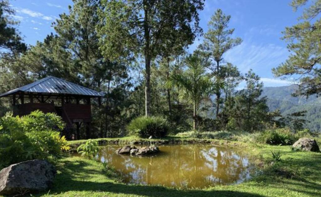 ManabaoSpirit Mountain Coffee的花园中的池塘,花园中设有凉亭和树木
