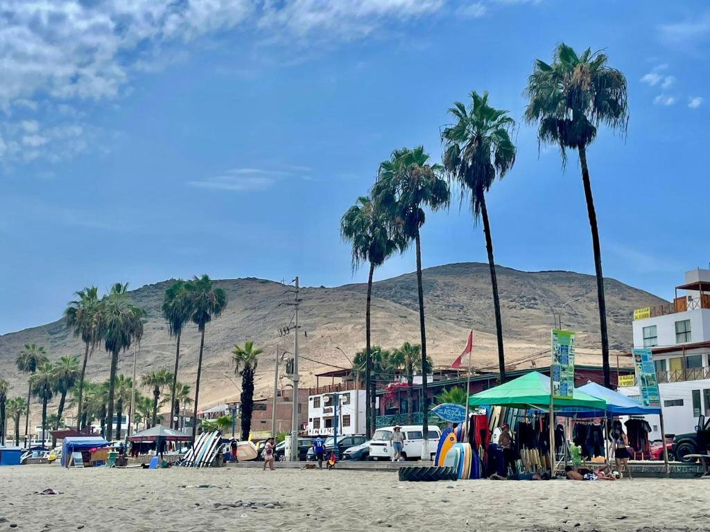 塞鲁阿苏尔La Casa Roja Cerro Azul的棕榈树海滩和山底