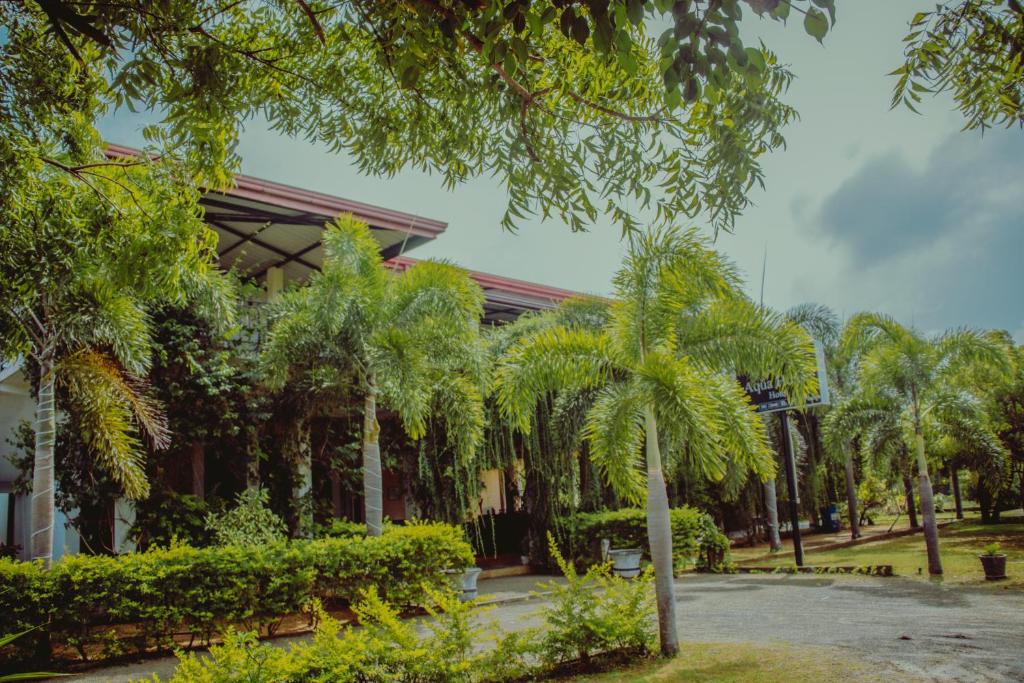 雅拉Aqua Hotel Yala的一座棕榈树建筑