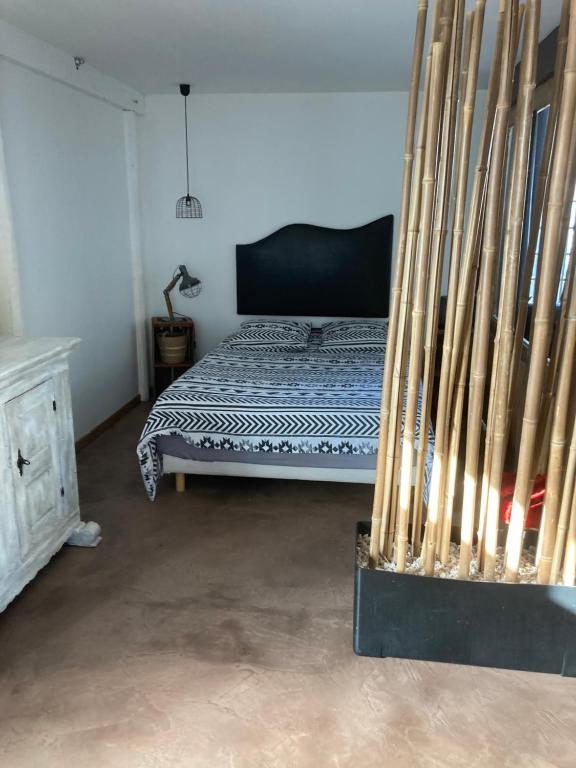 卢昂appartement terrasseLouhans centre的一间卧室,配有一张带 ⁇ 蝠的床