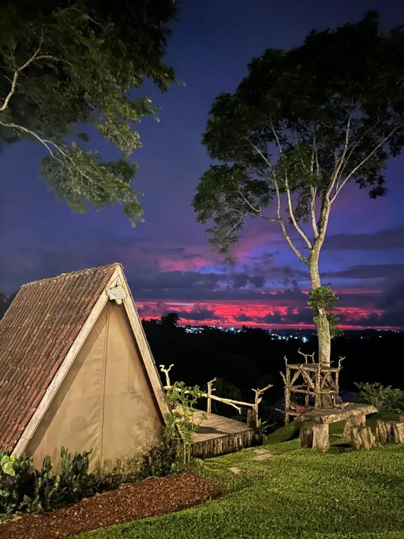 PujunganKAMPUNG KOPI CAMP的夜晚在田野里的一个帐篷,有树