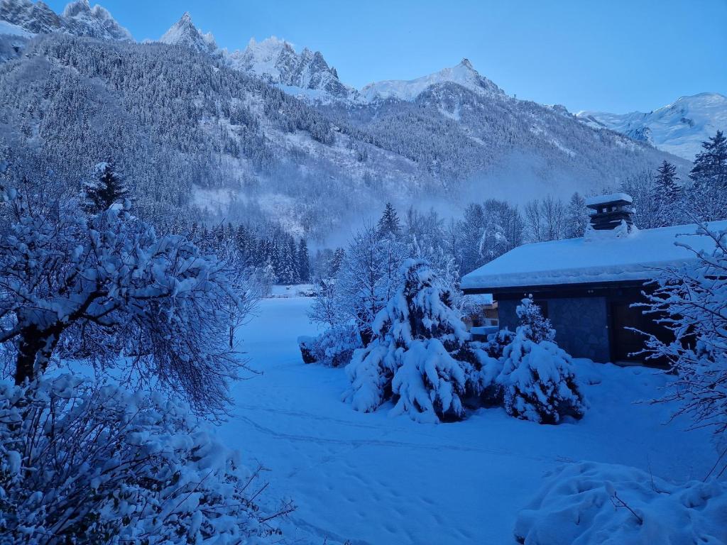 &#x51AC;&#x5929;&#x7684;Les Tussilages - Terrasse vue Mont-Blanc