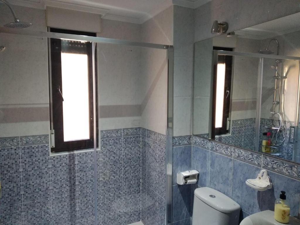 萨拉曼卡VUT Casa Miranda 51的一间带卫生间和玻璃淋浴间的浴室