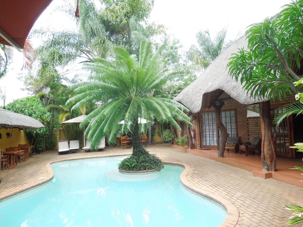 科玛蒂普特特瑞斯图旅馆的一座房子前面的游泳池,上面有棕榈树