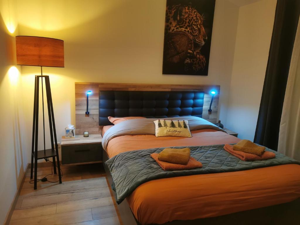 尚尼耶Angoulême Nord location Chambre indépendante的一间卧室配有一张大床和两个枕头