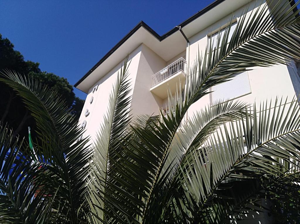 马里纳-迪-皮特拉桑塔MILANO的一座白色的建筑,前面有棕榈树