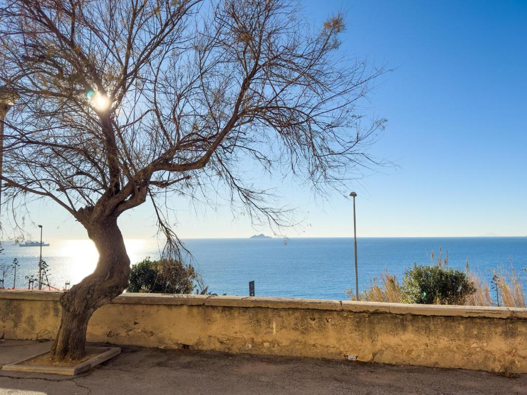 皮昂比诺Bilocale vista mare al Castello的坐在海边墙上的树