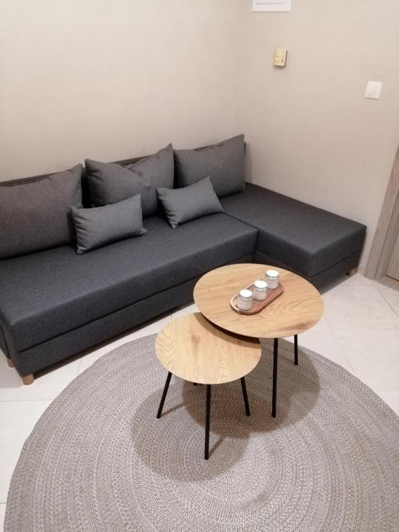 科扎尼ANIA'S APARTMENT ( ΣΤΟ ΚΕΝΤΡΟ ΤΗΣ ΚΟΖΑΝΗΣ )的客厅配有沙发和桌子