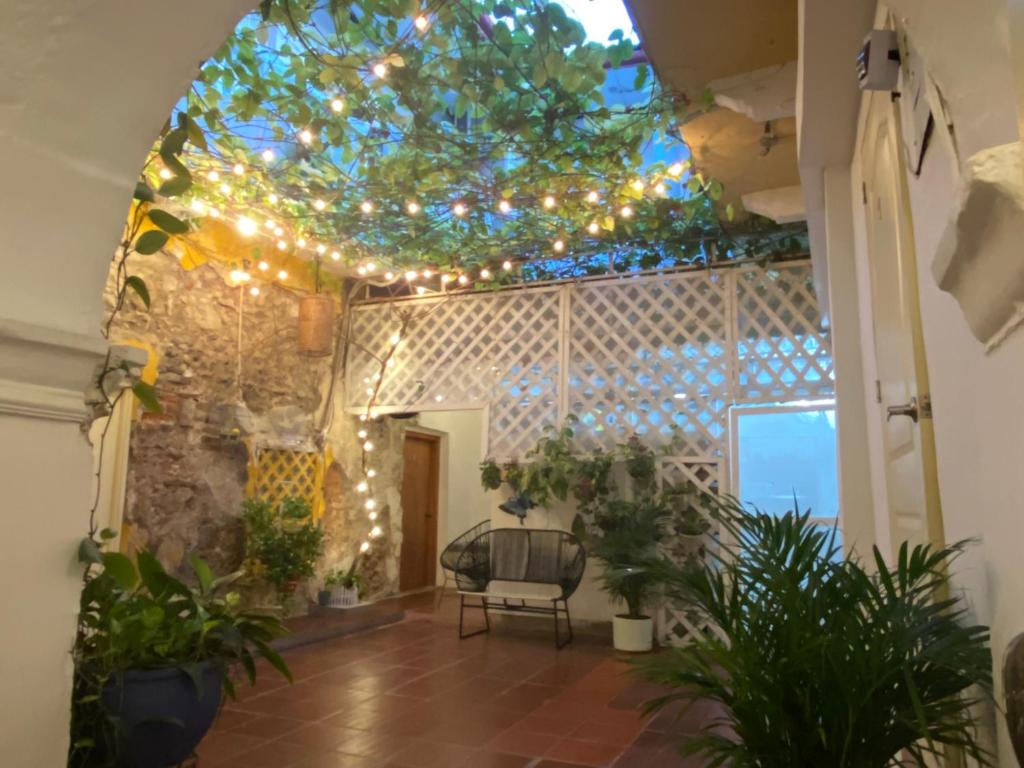 卡塔赫纳Casa Zaguan的一间设有灯光和植物的天花板的房间