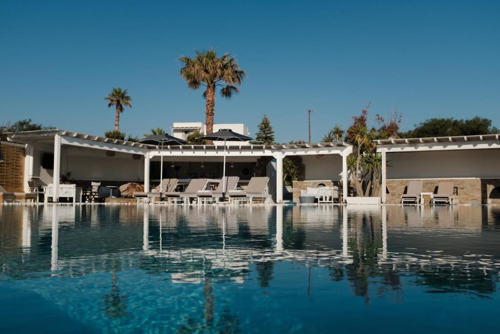 阿里克海滩Villa Faros的一个带椅子和棕榈树的游泳池