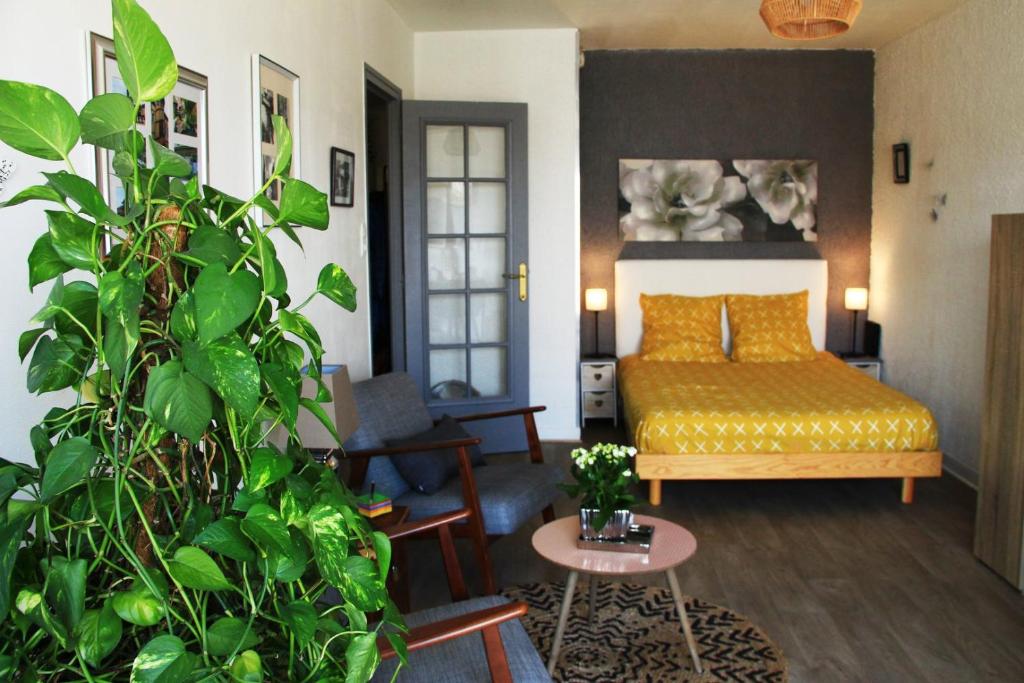 沙特尔Le Clos Pichot - Studio avec balcon, parking privé - 5mn Gare的一间带床和植物的客厅