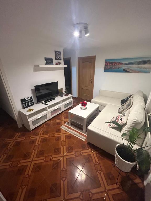 马德里Habitación privada en piso compartido Madrid的带沙发和平面电视的客厅