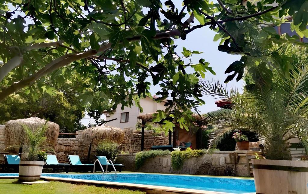 巴尔奇克Villa Komitata-Pool and Jacuzzi的一个带椅子的游泳池和一个背景房子