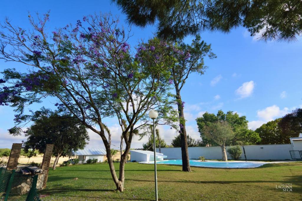 奇克拉纳－德拉弗龙特拉Hacienda Laguna Seca - Apart. Lavanda的一座两棵树和一个游泳池的公园