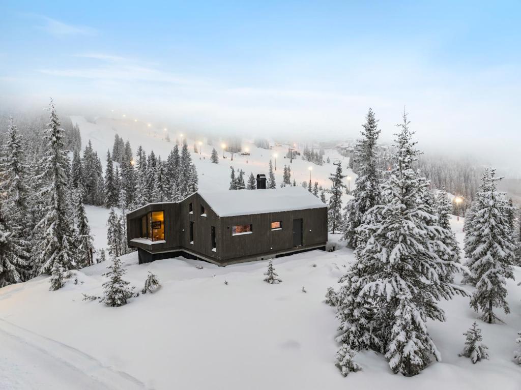 StrandeSki-in-out hytte på Kvitfjell的雪中树林中的小屋