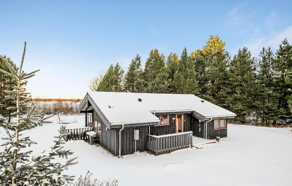 菲耶里茨莱乌Nice Home In Fjerritslev With Sauna的雪中小屋,有雪覆盖的树木