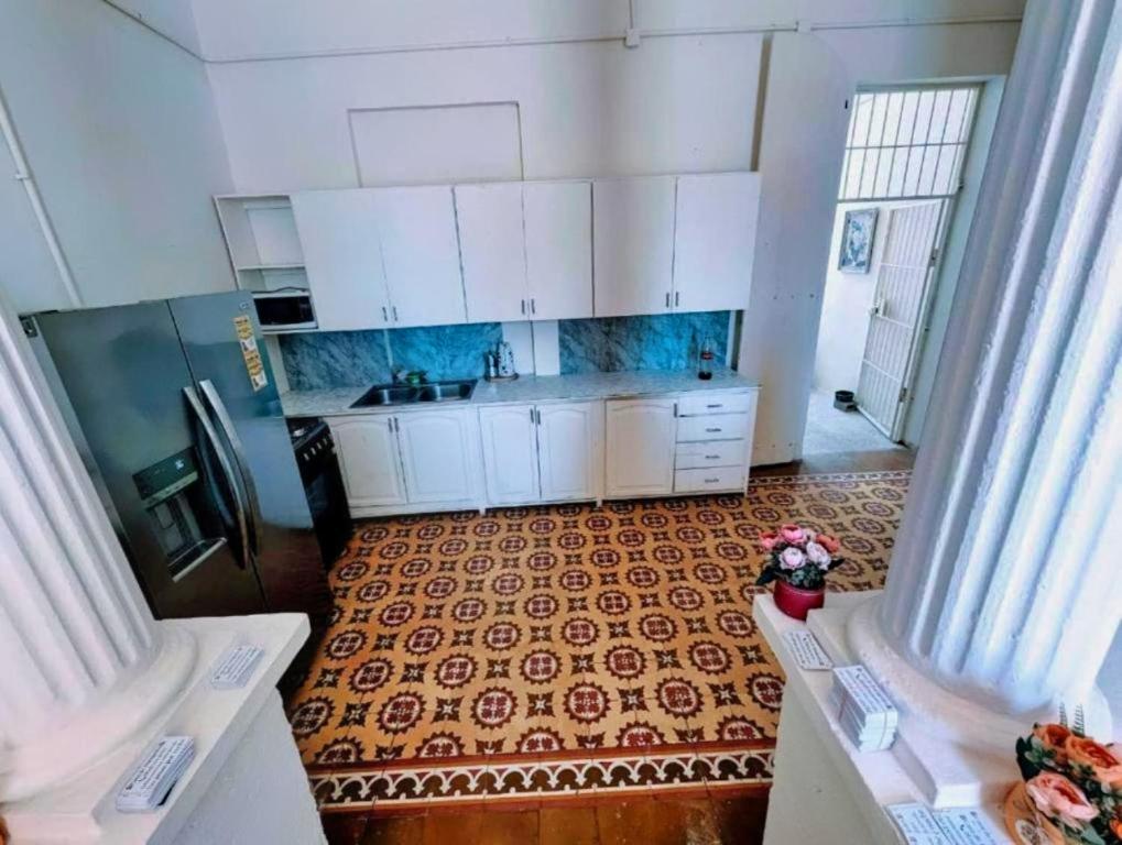 圣多明各Hostel La Española的厨房配有白色橱柜,地板上还坐着一只狗