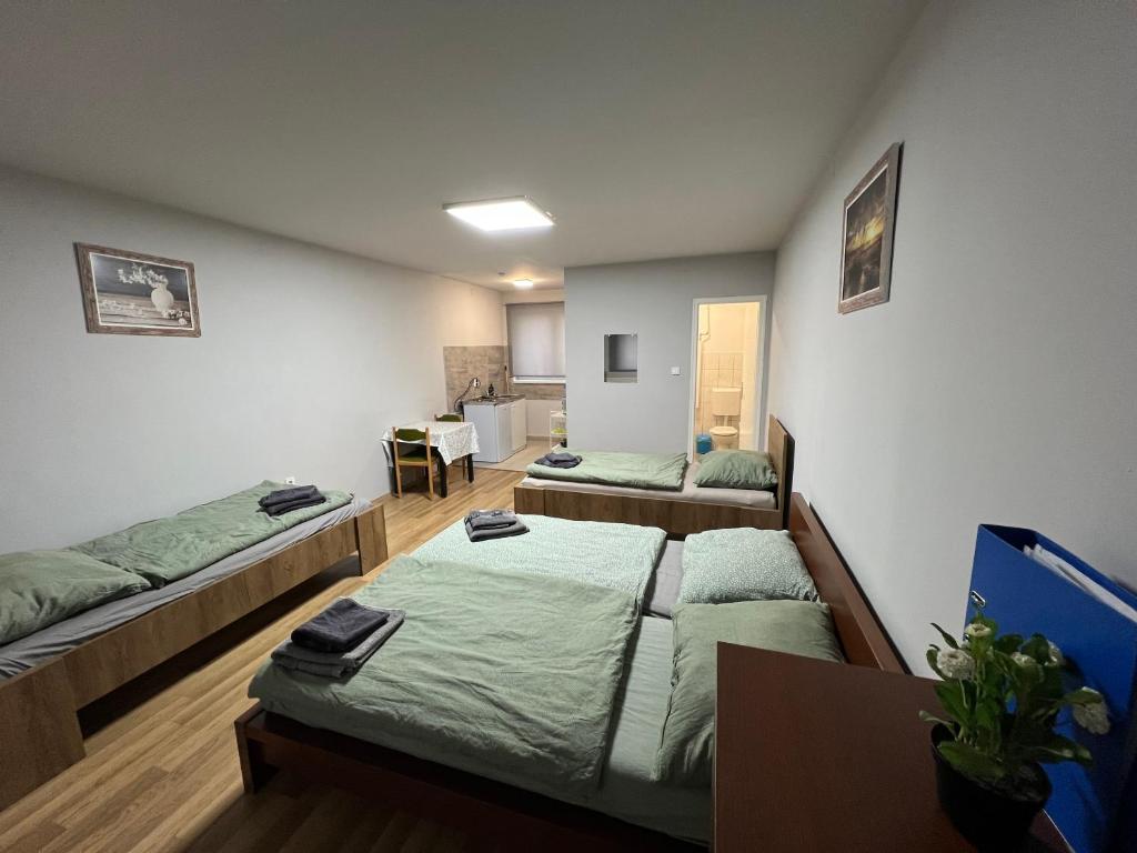 布达佩斯Maláta Homes的一间设有两张床和一张桌子的房间