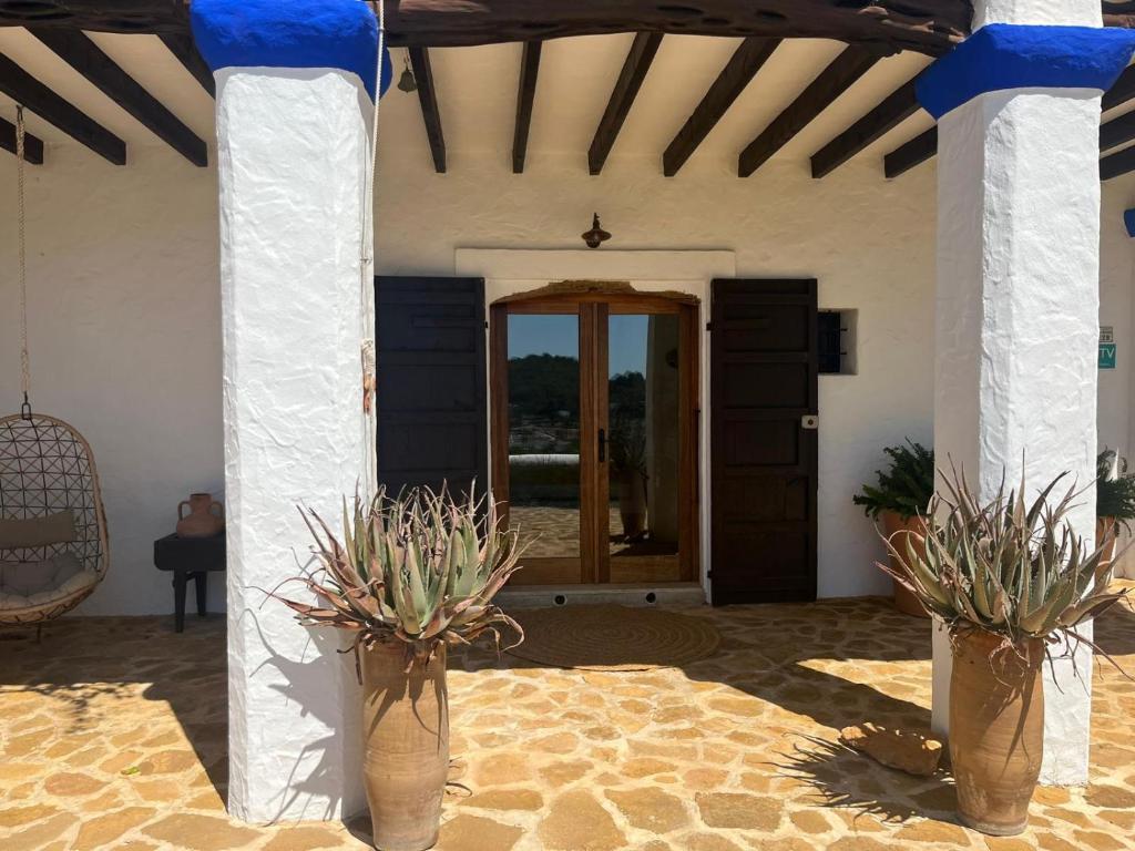圣埃乌拉利亚Charming Villa Retreat in Ibiza - Bed & Breakfast Bliss的两瓶花,在庭院里种着植物