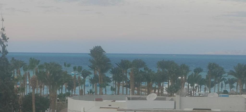 赫尔格达Hurghada Sea View Apartment的享有棕榈树海滩和大海的景色