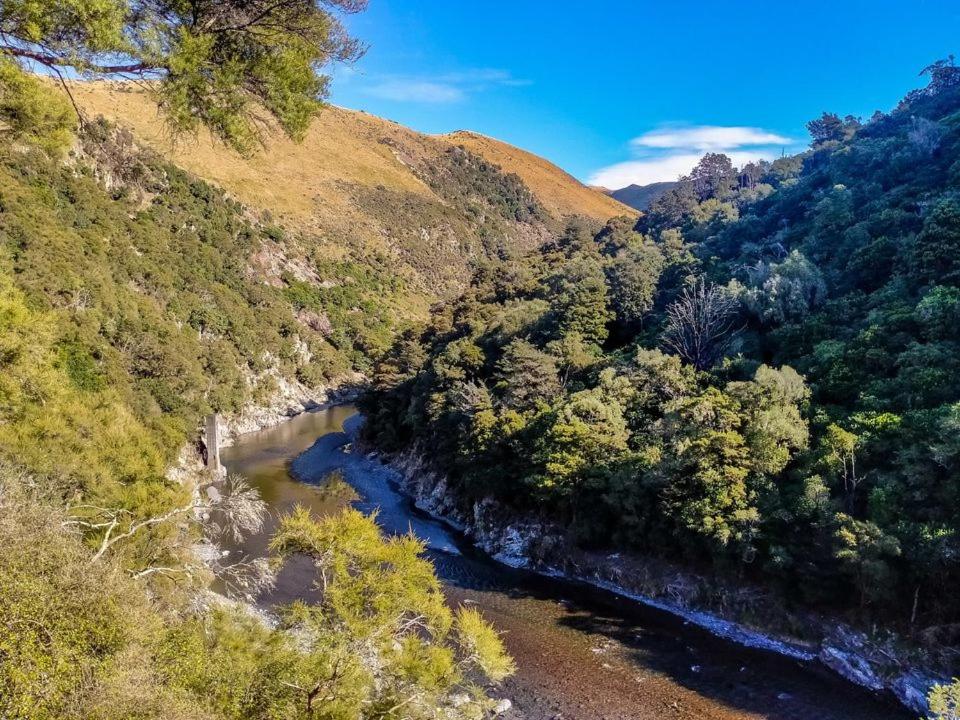 OxfordAshley Gorge Holiday Park的森林中河流的空中景观