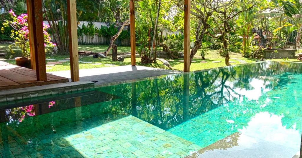 坎古Kura Kura Beach House的一座拥有绿松石色水和树木的游泳池