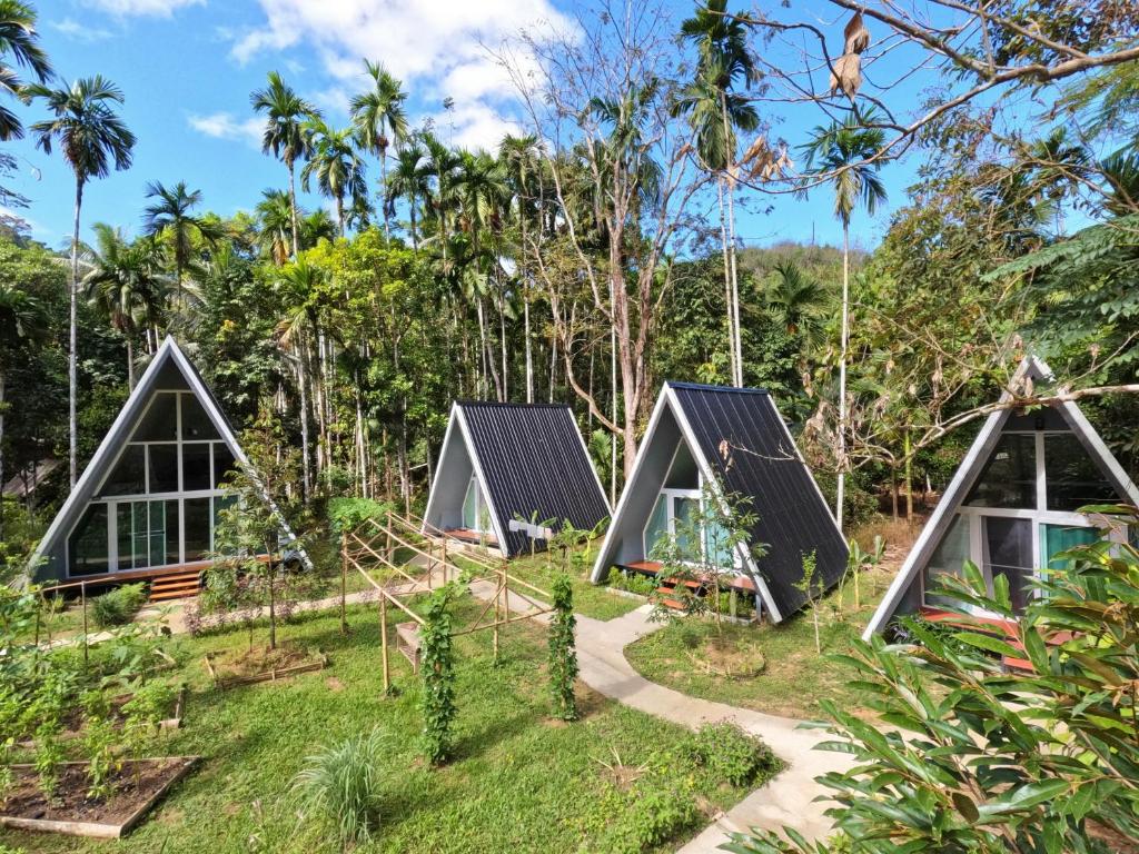 Ample Forest Khao Sok Farmstay的森林中的三角形房屋