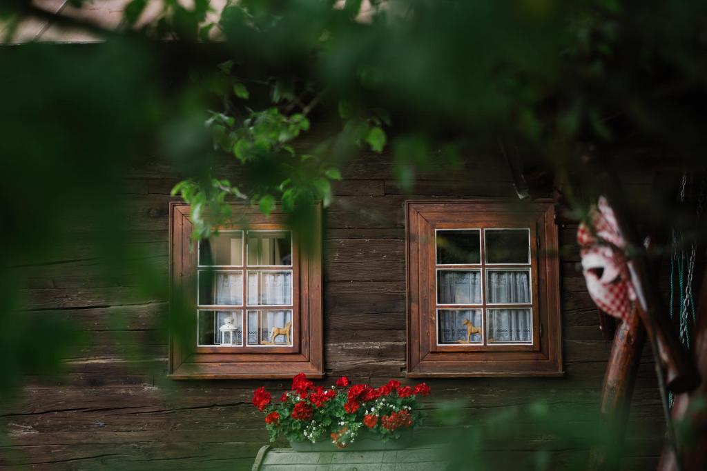 特尔乔夫Dreveničky Holúbkovia的一座木房子,设有两扇窗户和红色的鲜花